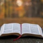 Profile picture of Litword Daily